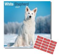 Avonside White Shepherd 2027 Square Calendar with Organisational Stickers