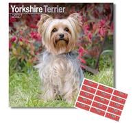 Avonside Yorkshire Terrier 2027 Calendar with Organisational Stickers