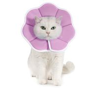 Avont Soft Cat Recovery Cone Collar, Adjustable Lightweight Kitten E-Collar for Small Dogs, Comfortable Neck Donut Stop Licking Scratching After Surgery -Purple(L)