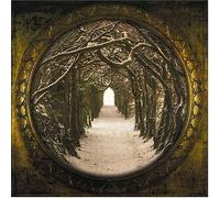 Avrigus - Secret Kingdom