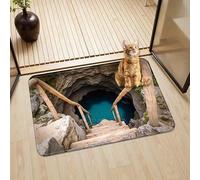 AVSMGP 3D Illusion Door Mat, Non-Slip Cool 3D Rugs Soft And Non-Slip Carpets for Indoor/Outdoor Living Room Bedroom Dining Room,Home Decor- Mind-Bending Art,K,100x150cm/3'3"x4'11"