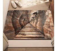 AVSMGP 3D Illusion Door Mat, Non-Slip Cool 3D Rugs Soft And Non-Slip Carpets for Indoor/Outdoor Living Room Bedroom Dining Room,Home Decor- Mind-Bending Art,C,100x150cm/3'3"x4'11"