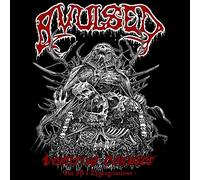 Avulsed - Vomiting Corpses - The 90s Regurgitations (4cd Clamshell Box)