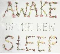 Awake Is the New Sleep by Ben Lee