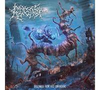 Awaken The Misogynist - Descended From Vast Dimensions