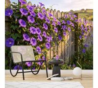 Awallothus Custom Size Wall Mural Purple Morning Glory Flowers on Wooden Fence Wall Art Self-Adhesive Removable Wallpaper for Kitchen Living Room