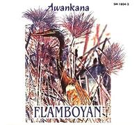 Awankana - Flamboyan: River Of The Stars