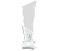 Awards Trophy Glass Star Pattern Employee Appreciation Glass Decorative Recognition Engraved Custom Personalized Text Suitable for Volunteer Teacher N, Style B