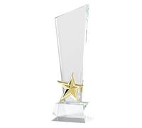 Awards Trophy Glass Star Pattern Employee Appreciation Glass Decorative Recognition Engraved Custom Personalized Text Suitable for Volunteer Teacher N, Style C