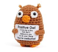 AWARDSEN Owl Gifts Emotional Support Crochet Gifts & Keepsakes Pocket Hug | Owl Figurine with Positive Affirmation Cards, Inspirational Gift for Women Men, Graduation Exam Good Luck Halloween Decor
