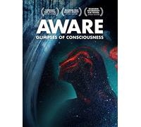 Aware: Glimpses of Consciousness
