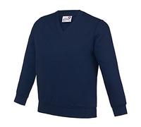 AWDis Academy Mens V Neck Jumper/Sweatshirt (L) (Navy)