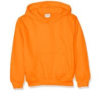 AWDis Boy's Kids Hoodie, Orange (Orange Crush), X-Large