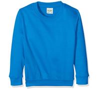 AWDis Boy's Kids Sweatshirt , Blue (Sapphire Blue), Large