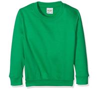 Just Hoods by AWDIS Boy's Kids Sweatshirt - Kelly Green - Medium
