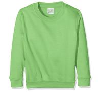 AWDis Boy's Kids Sweatshirt , Green (Lime Green), Medium