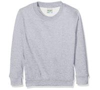 AWDis Boy's Kids Sweatshirt , Grey (Heather Grey), Large