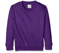 AWDis Boy's Kids Sweatshirt , Purple, Medium