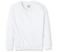 AWDis Boy's Kids Sweatshirt , White (Arctic White), Medium
