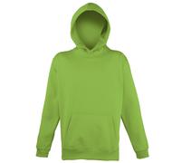 Awdis Childrens Unisex Electric Hooded Sweatshirt / / N/A N/A RW179