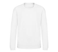 AWDis Just Hoods Childrens/Kids Plain Crew Neck Sweatshirt/J RW3485