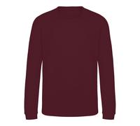 AWDis Just Hoods Childrens/Kids Sweatshirt / N/A N/A PC3797