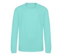 AWDis Just Hoods Sweatshirt in Mint | Size: 9 Years AWDis Mint 9 Years