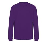AWDis Just Hoods Sweatshirt in Purple | Size: 1-2 Years AWDis Purple 1-2 Years