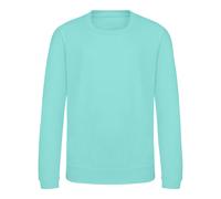 AWDis Just Hoods Sweatshirt in Mint | Size: 5-6 Years AWDis Mint 5-6 Years