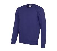 AWDis Men's Academy Crew Neck Raglan Sweatshirt in Purple | Size: XL AWDis Purple XL