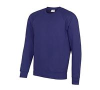 AWDis Men's Academy Raglan Sweatshirt, Purple (Academy Purple), Medium