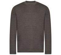 Awdis Mens Organic Sweatshirt PC4333