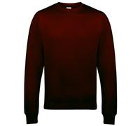 AWDis Men's Sweat Sweatshirt, Brown (Hot Chocolate), Small