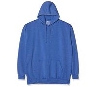 AWDis Men's Washed Hoodie, Blue (Washed Royal Blue), Large