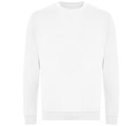 Awdis Unisex Adult Organic Sweatshirt / N/A N/A RW7903