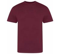 Awdis Unisex Adult The 100 T-Shirt RW7727