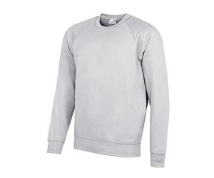 AWDis Unisex Kids Academy Raglan Sweatshirt Sweatshirt (pack of 1)