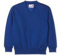 AWDis Unisex Kids Academy V-neck Sweatshirt Sweatshirt