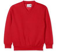 AWDis Unisex Kids Academy V-neck Sweatshirt Sweatshirt