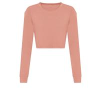 Awdis Womens/Ladies Crop Triblend Long-Sleeved T-Shirt / N/A N/A RW8651