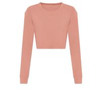Awdis Womens/Ladies Crop Triblend Long-Sleeved T-Shirt RW8651