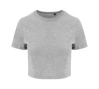 Awdis Womens/Ladies Girlie Cropped T-Shirt RW9414