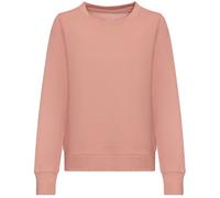 Awdis Womens/Ladies Sweatshirt PC4590