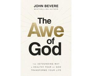 AWE OF GOD by BEVERE, JOHN Paperback Self Help Business