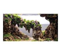 AWERT 30x18 inches Viewing Stone Fish Tank Background Aquatic Plant River Bed & Lake Aquarium Background Seaweed Aquarium Vinyl Background
