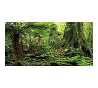 AWERT 36x18 inches Forest Terrarium Background Stone Green Huge Tree Reptile Habitat Background Tropical Rainforest Aquarium Background Durable Polyester Background