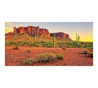 AWERT 36x20 inches Reptile Habitat Background Sky Oasis Mountain Cactus Sun and Desert Terrarium Background Durable Polyester Background