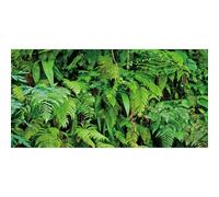 AWERT 36x24 inches Tropical Terrarium Background Tropical Plants Leaves Aquarium Background Rainforest Reptile Habitat Background Vinyl