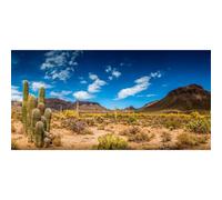 AWERT 48x24 inches Reptile Habitat Background Blue Sky Oasis Cactus Desert Terrarium Background Vinyl