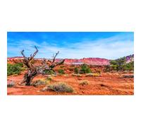 AWERT 48x24 inches Reptile Habitat Background Blue Sky Oasis Orange Desert Terrarium Background Durable Polyester Background
